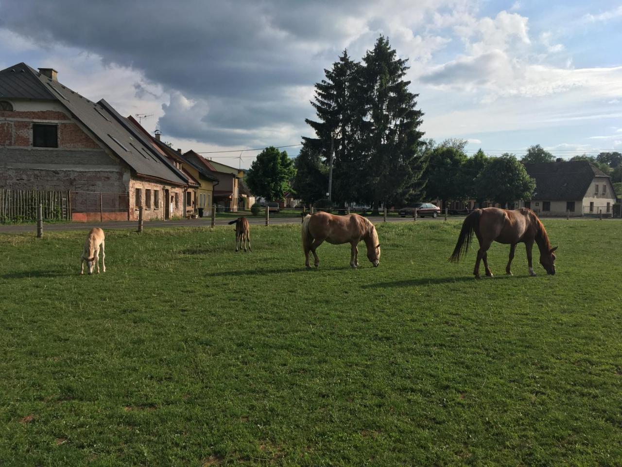 Penzion U Skutilu Pilnikov Bagian luar foto